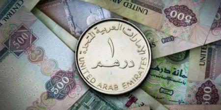 سعر الدرهم الإماراتي في مصر اليوم.. الثلاثاء 8 يوليو 2025 - هرم مصر