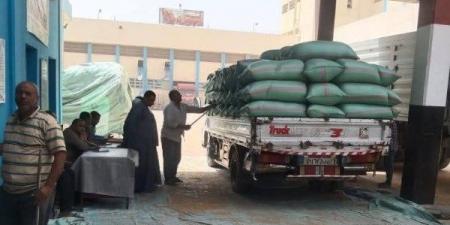 إنتهاء موسم حصاد القمح والشرقية الأولي على الجمهورية بتوريد 604 ألف طن - هرم مصر