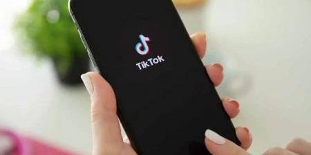 تامر عبد المنعم: «التيك توك» أصبح مهنة والبلوجرز يشترون سيارات وعقارات في دبي - هرم مصر