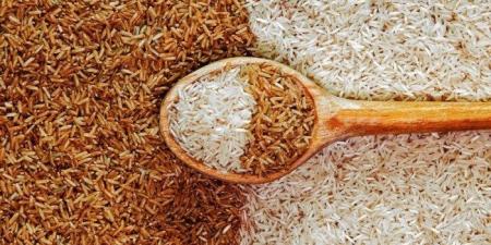 سعر طن الأرز الشعير اليوم السبت 16 أغسطس 2025 - هرم مصر