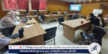 تدريب مسؤولي تقصي وفيات الأمهات بالفيوم على آلية الميكنة الإلكترونية - هرم مصر