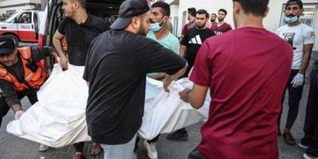 استشهاد 3 فلسطينيين بينهم شهيدان من طالبي المساعدات شمال قطاع غزة - هرم مصر