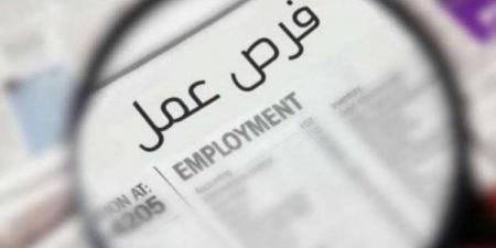 وظائف متاحة في وزارة الكهرباء.. اعرف الشروط والتفاصيل - هرم مصر