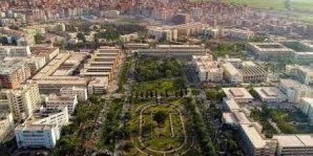 رئيس جامعة المنصورة: "كن مستعدًا" مبادرة رئاسية لتأهيل الشباب لسوق العمل المحلي والدولي - هرم مصر