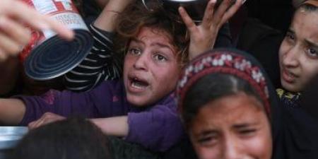 الأغذية العالمى: نصف مليون شخص فى غزة على شفا المجاعة - هرم مصر
