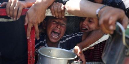 ضياء رشوان: قطاع غزة يحتاج إلى إنقاذ عاجل والأمر لا يحتمل الانتظار - هرم مصر