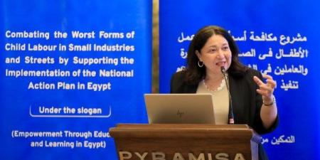 وزارة التضامن تؤكد تنفيذ مبادرات وبرامج نوعية لمكافحة عمل الأطفال - هرم مصر