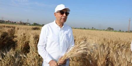 بعد تعاقد مصر على عدة شحنات.. ارتفاع أسعار القمح الفرنسي - هرم مصر