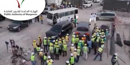 ضبط 168 عاملاً مخالفاً في حملة تفتيشية موسعة بالمطلاع - هرم مصر