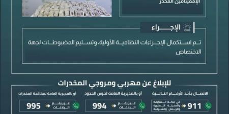 إحباط تهريب 230,000 قرص من الإمفيتامين المخدر بمنطقة تبوك - هرم مصر