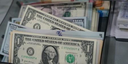 بـ 48.50 جنيه في الأهلي.. سعر الدولار اليوم الثلاثاء 19 أغسطس 2025 - هرم مصر