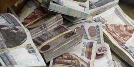 ضبط 3 أشخاص غسلوا 100 مليون جنيه من حصيلة النصب على المواطنين - هرم مصر