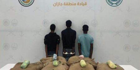 ضبط 3 أشخاص لمحاولتهم تهريب كمية من نبات القات المخدر بمنطقة جازان - هرم مصر