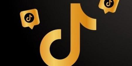 كيفية شراء متابعين تيك توك؟ ولماذا تحتاج إلى شراء المتابعين؟ - هرم مصر