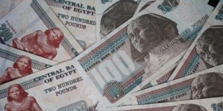 بعائد 22.5%.. شهادات الادخار في المصرف المتحد قبل تولي طارق فايد - هرم مصر