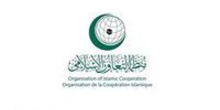 منظمة التعاون الإسلامي تحتفي باليوم العالمي للعمل الإنساني بمشاركة إقليمية ودولية - هرم مصر
