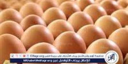 أسعار طبق البيض اليوم الاربعاء 20-8-2025 في قنا - هرم مصر