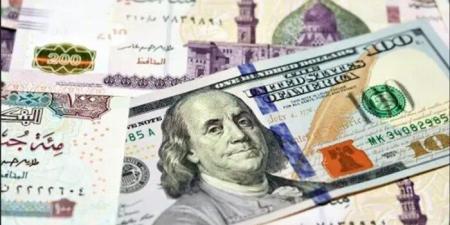 سعر الدولار مقابل الجنيه المصري في نهاية تعاملات اليوم الأربعاء 20 أغسطس 2025 - هرم مصر