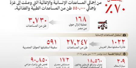 بالأرقام.. الخارجية تكشف جهود مصر في دعم غزة - هرم مصر