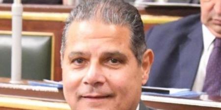 نائب: موافقة حماس على الهدنة تؤكد نجاح الوساطة المصرية وحماية المدنيين - هرم مصر