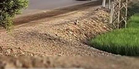 القبض عل سائقين استعرضا بسيراتهم فى حفل زفاف بالشرقية - هرم مصر
