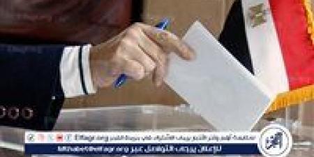 ما عقوبة التخلف عن التصويت بانتخابات مجلس الشيوخ بجولة الإعادة؟ - هرم مصر