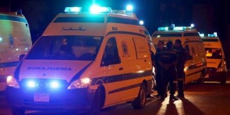 مصرع شابين وإصابة آخر من أسرة واحدة في حادث تصادم بالمنوفية - هرم مصر
