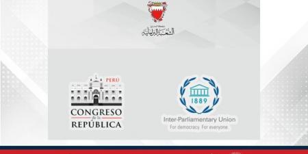 "الشعبة البرلمانية" تعقد اجتماعًا تنسيقيًا افتراضيًا بشأن مشاركتها في المؤتمر العالمي الحادي عشر للبرلمانيين الشباب - هرم مصر