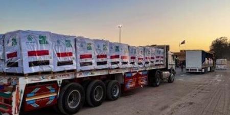 مندوب فلسطين بالجامعة العربية يبحث مع وفد شيشاني سبل تقديم المساعدات لقطاع غزة - هرم مصر