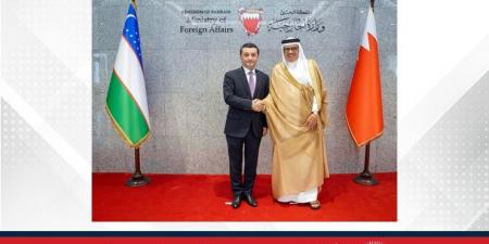 وزير الخارجية يعقد جلسة مباحثات مع وزير خارجية جمهورية أوزبكستان - هرم مصر
