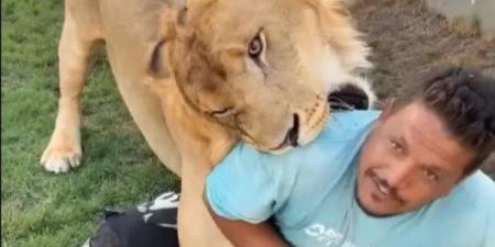 السلطات الليبية تلقي القبض على مواطن ليبي بتهمة ترويع عامل مصري باستخدام أسد - هرم مصر