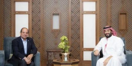 باسم الجمل: مصر والسعودية ركيزتا الأمن العربي وجدار الصمود في وجه العواصف - هرم مصر