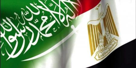 بـ قيمة 1.5 مليار جنيه.. صادرات مصر للسعودية تسجل ارتفاعا خلال النصف الأول من 2025 - هرم مصر