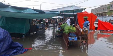 أمطار الفجر ترفع جاهزية جازان - هرم مصر