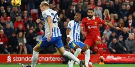 مالك برايتون يندم على رحيل ماك أليستر إلى ليفربول - هرم مصر