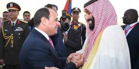 مصر والسعودية تشددان على ضرورة الإسراع في إدخال المساعدات الإنسانية إلى غزة دون عوائق - هرم مصر