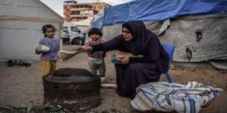 الاحتلال يعرقل دخول المساعدات إلى غزة ويزيد معاناة السكان.. تفاصيل - هرم مصر