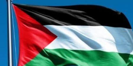 الخارجية الفلسطينية تصدر بيانا بشأن قرار إسرائيل احتلال غزة - هرم مصر