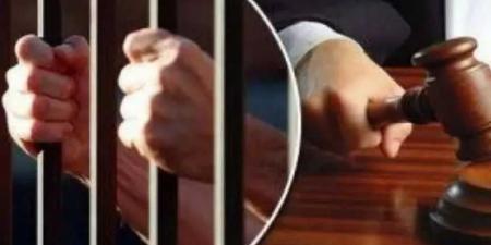 عنف وفوضي و عاهة مستديمة.. تقود عصابة مسلحه للسجن المشدد 15 عام بالوراق - هرم مصر