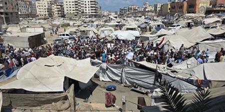 تظاهرات فلسطينية حاشدة تطالب بوقف العدوان الإسرائيلي على غزة ودعم المقترح المصري لوقف إطلاق النار - هرم مصر