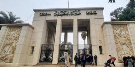 موعد افتتاح حديقة حيوان الجيزة 2025 وأسعار التذاكر.. من هي الفئات المعفية؟ - هرم مصر