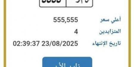 بنصف مليون جنيه.. طرح التزايد على لوحة سيارة مميزة | اعرف الخطوات - هرم مصر