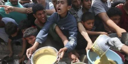 المفوض العام لـ أونروا: المجاعة أصبحت أمرا واقعا في مدينة غزة - هرم مصر