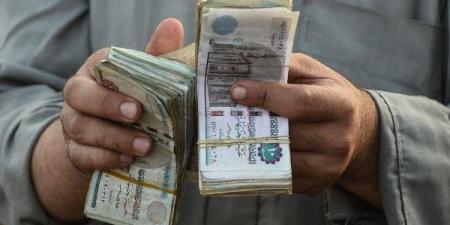 ما حكم التزوير للحصول على معاش؟.. الإفتاء: هذه الأموال حرام ويجب إعادتها - هرم مصر