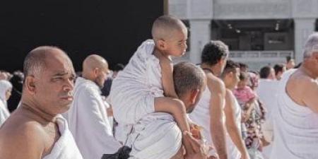 العمرة بدون وسيط.. تعرف على خدمات تطبيق "نسك عمرة" - هرم مصر
