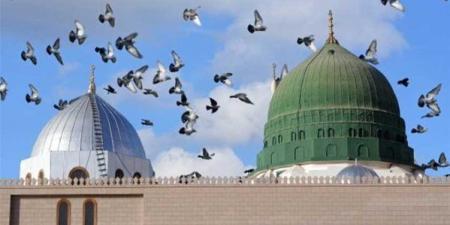 ربيع الأنوار.. فضل شهر ربيع الأول وسبب تسميته - هرم مصر