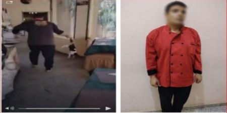 القبض على «طباخ» ضرب قطة حتى الموت في مطروح - هرم مصر