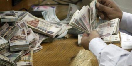 «خاص وحكومي».. جدول مرتبات شهر أغسطس 2025 - هرم مصر