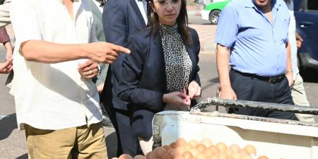 بسعر مخفض | توفير 12 سيارة محملة بـ 1000 طبق بيض مائدة بالبحيرة - هرم مصر