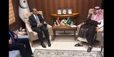وزير الخارجية ونظيره السعودي يؤكدان موقفهما الرافض للعدوان الإسرائيلي على غزة - هرم مصر